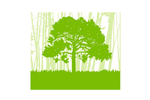 خطة استعادة أراضي الغابات وزراعة الأشجار
