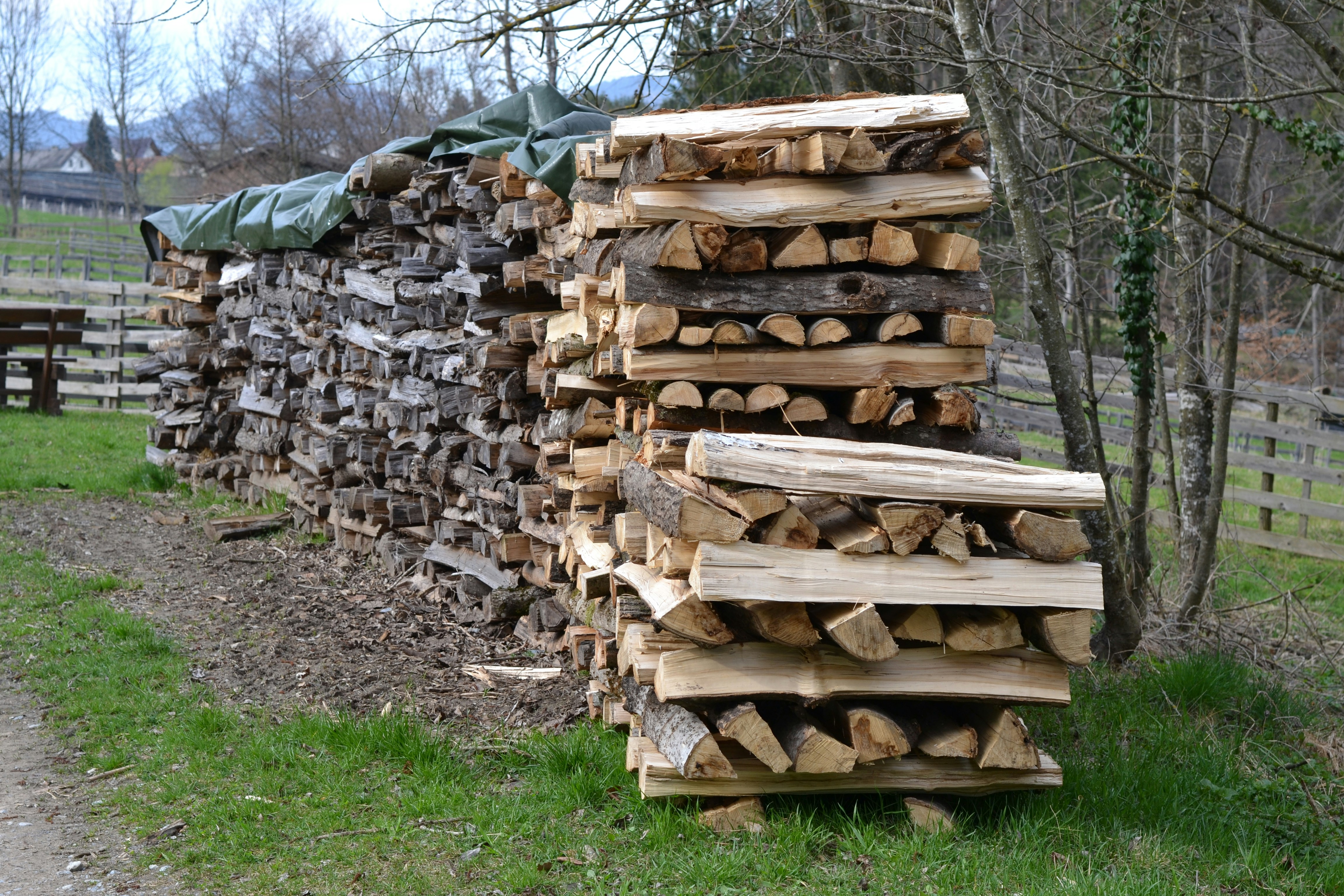 المراجعة الأسبوعية لسوق الأخشاب في أمريكا الشمالية: الطلب الثابت يلبي ضغط الأسعار مع تحول ديناميكيات العرض